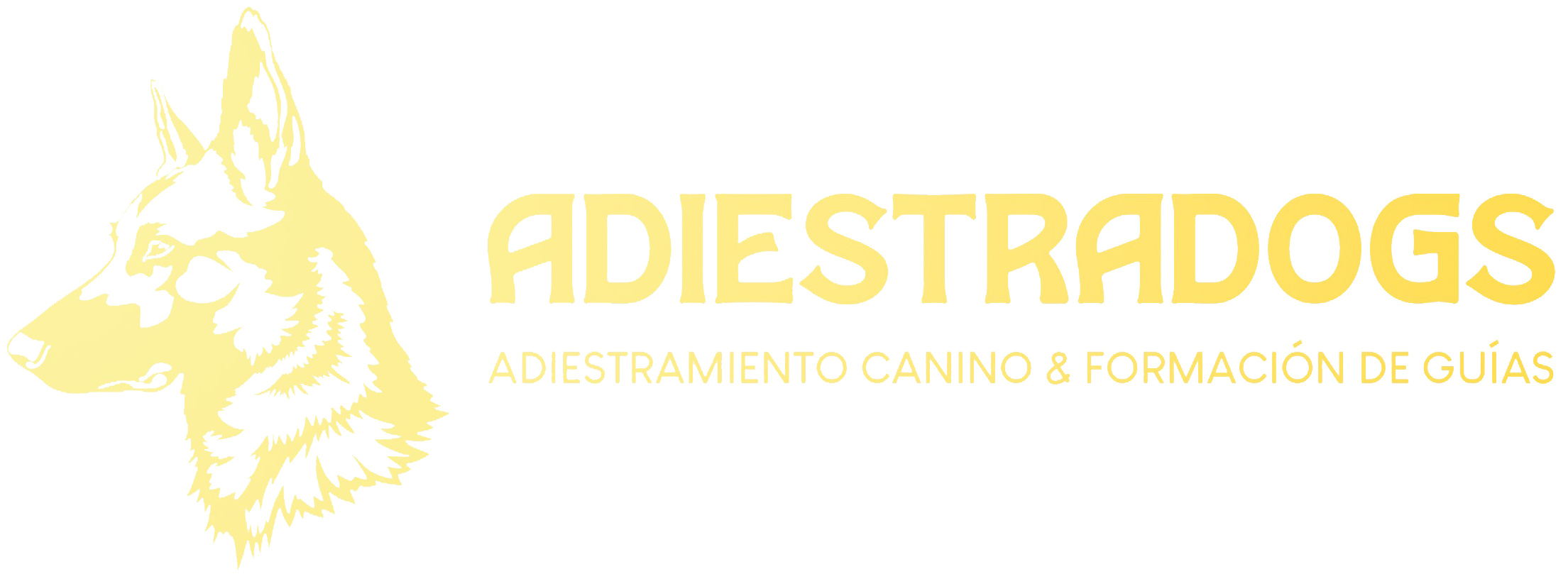 Eventos Adiestradogs